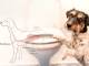 Dog constipation: symptoms, causes, diagnosis and treatment.